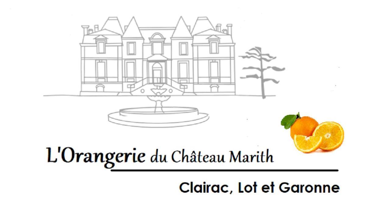 Orangerie Du Chateau Marith - Domaine Avec Piscine Clairac  Ngoại thất bức ảnh