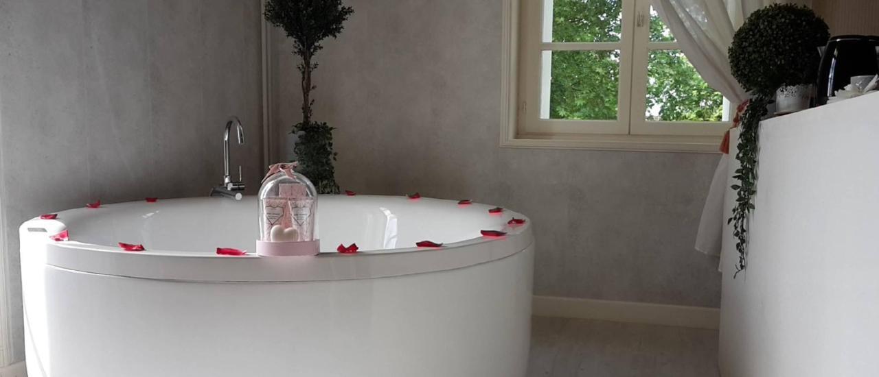 Orangerie Du Chateau Marith - Domaine Avec Piscine Clairac  Ngoại thất bức ảnh